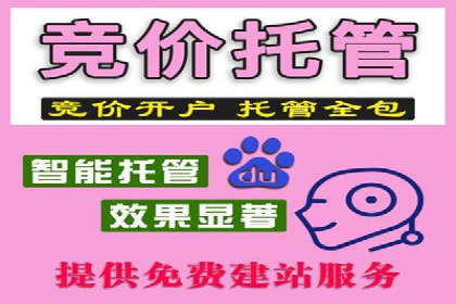 竞价推广的技巧与案例分享